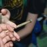 Just a Couple of Marijuana Joints Can Affect Teens’ Brain Development