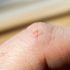 Why Paper Cuts Hurt So Damn Much