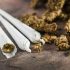 Teens Are Using Less Marijuana After Legalization
