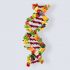 This Custom Diet Plan is Based on Your DNA