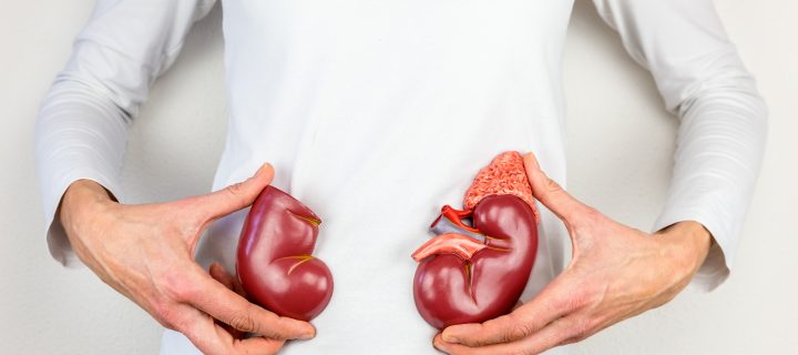 These 5 Foods Are Best for Your Kidneys