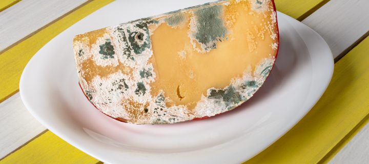 Is Moldy Cheese Safe to Eat?