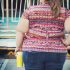 This is how changing gut microbe populations causes obesity