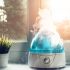 Is the Air in Your Home Dry? Get a Humidifier to Reduce the Spread  of COVID-19: Study