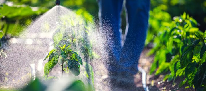 Is this pesticide responsible for obesity?