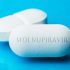 How Merck’s Oral Covid-19 Antiviral Pill Works