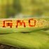 Genetically Modified Food: The Pros and the Cons and what you should know
