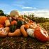 Some gourds are poisonous: how to tell the difference