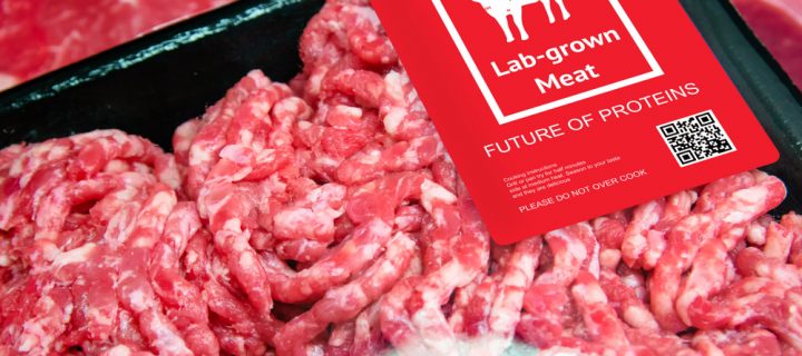 All you need to know about meat grown in a lab